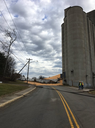 Illustration for article titled Road Shut Down After Corn Silo Collapses, Spilling 10,000 Tons Of Corn